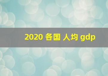 2020 各国 人均 gdp